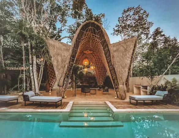 The Alux Tulum Beach Club Access